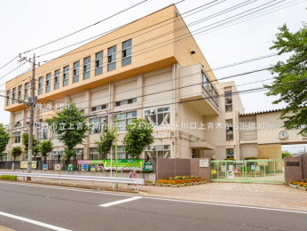 周辺環境　川口市立上青木南小学校300m