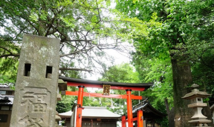 周辺環境　大谷場氷川神社ふるさとの森