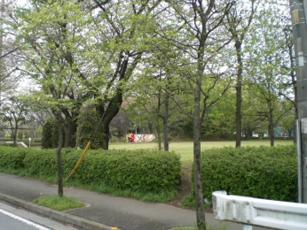 洗面台・洗面所　-