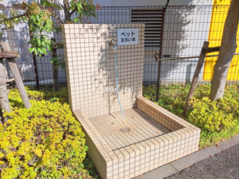 現地外観写真　-