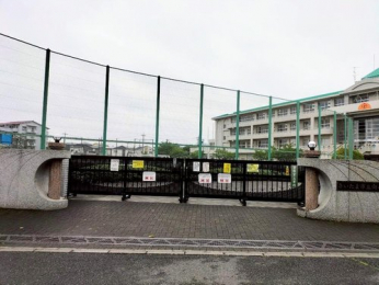 周辺環境　さいたま市立向小学校まで230m