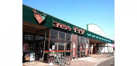 ӊ@RfBCC_ŌX܂300m