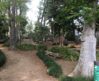 ���ӊ��@��q���R�Βn�܂Ŗ�498��