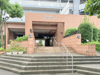 �G���g�����X�@-