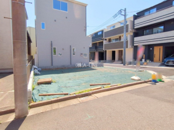 ���n�y�n�ʐ^�@-