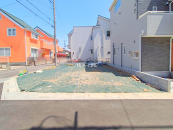 ���n�y�n�ʐ^�@-