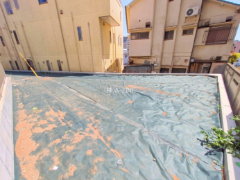 ���n�y�n�ʐ^�@-