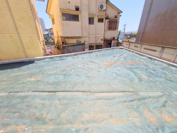 ���n�y�n�ʐ^�@-