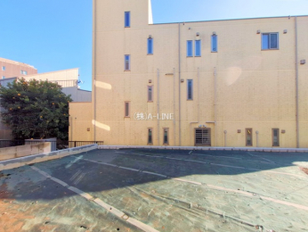 ���n�y�n�ʐ^�@-