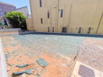 ���n�y�n�ʐ^�@-