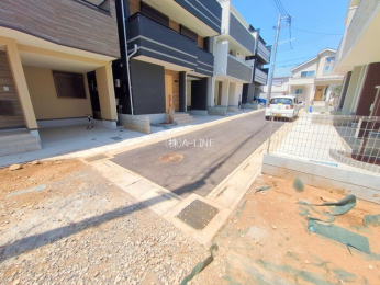 ���n�y�n�ʐ^�@-