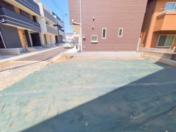 ���n�y�n�ʐ^�@-