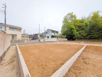 ���n�y�n�ʐ^�@-