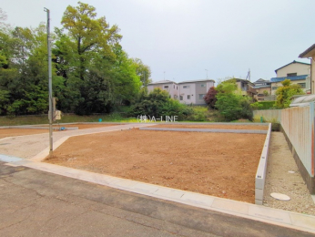 ���n�y�n�ʐ^�@-