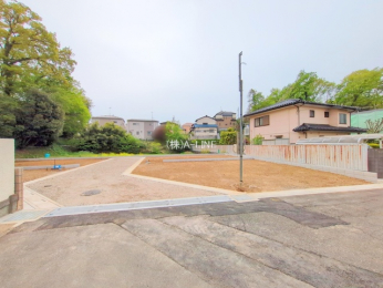 ���n�y�n�ʐ^�@-