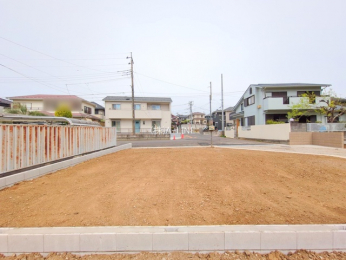 ���n�y�n�ʐ^�@-