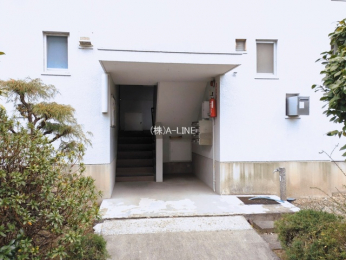 �G���g�����X�@-