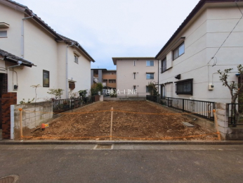 ���n�y�n�ʐ^�@-