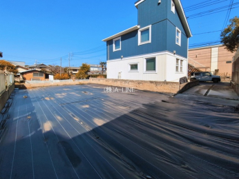 ���n�y�n�ʐ^�@-