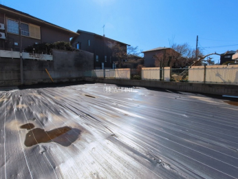 ���n�y�n�ʐ^�@-