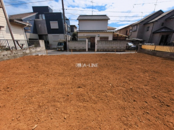 ���n�y�n�ʐ^�@-