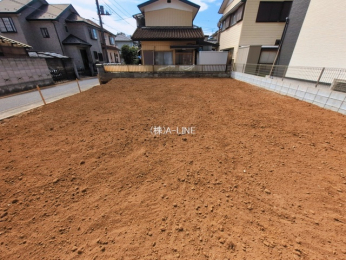 ���n�y�n�ʐ^�@-