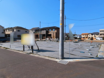 ���n�y�n�ʐ^�@-