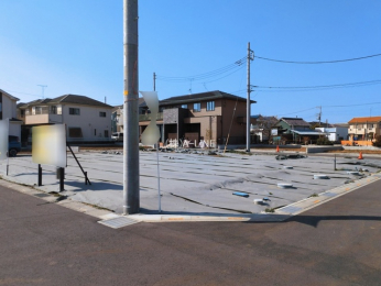 ���n�y�n�ʐ^�@-