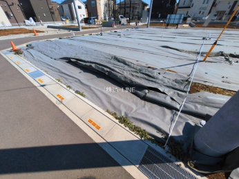 ���n�y�n�ʐ^�@-