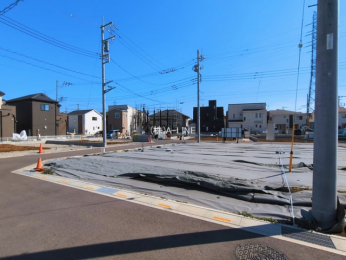 ���n�y�n�ʐ^�@-