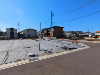 ���n�y�n�ʐ^�@-