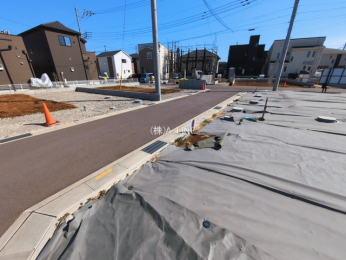 ���n�y�n�ʐ^�@-