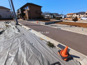 ���n�y�n�ʐ^�@-