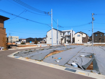 ���n�y�n�ʐ^�@-