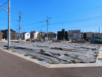 ���n�y�n�ʐ^�@-