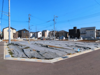 ���n�y�n�ʐ^�@-