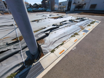 ���n�y�n�ʐ^�@-