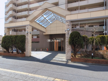 �G���g�����X�@-