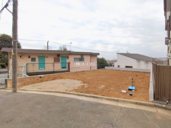 ���n�y�n�ʐ^�@-