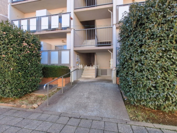 �G���g�����X�@-