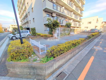 ���n�O�ώʐ^�@-