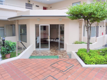 �G���g�����X�@-