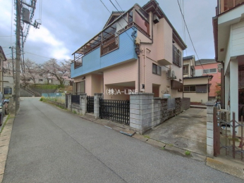 �O�ʓ��H�܂ތ��n�ʐ^�@-