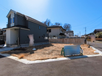 ���n�y�n�ʐ^�@-