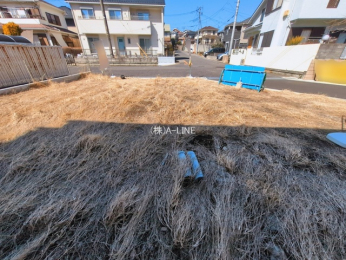 ���n�y�n�ʐ^�@-