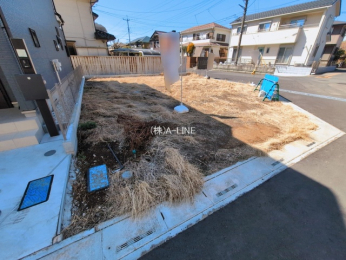 ���n�y�n�ʐ^�@-