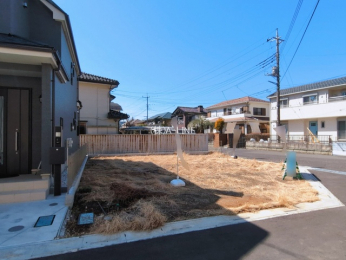 ���n�y�n�ʐ^�@-