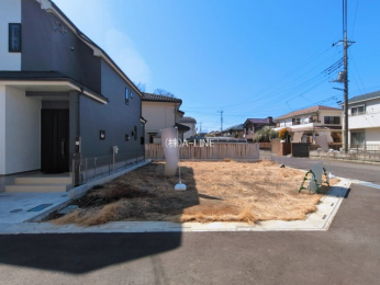 ���n�y�n�ʐ^�@-