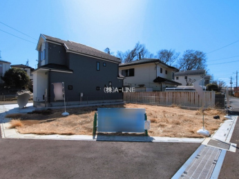 ���n�y�n�ʐ^�@-