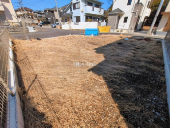 ���n�y�n�ʐ^�@-